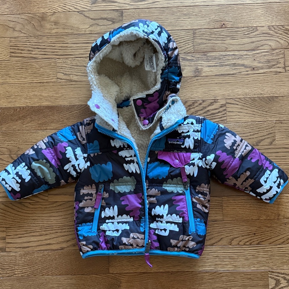 Patagonia Multicolor Hooded Jacket